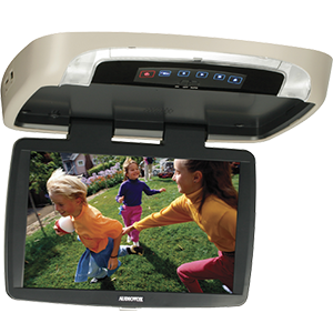 Mobile Video Installation Services